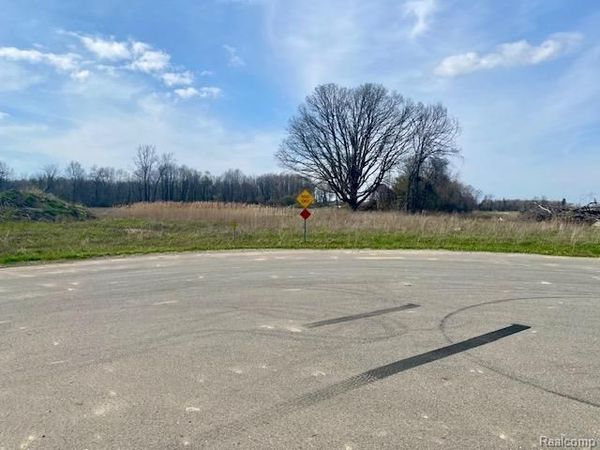 0005C Daisy Lane , Almont Twp, MI 48003
