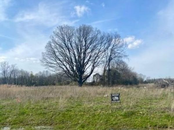 0005C Daisy Lane, Almont Township, Mi 48003