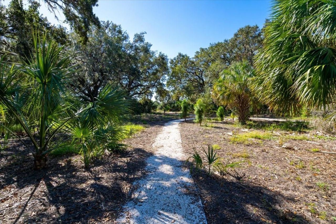8728 Starry Night Terrace, Parrish, FL 34219 Photo