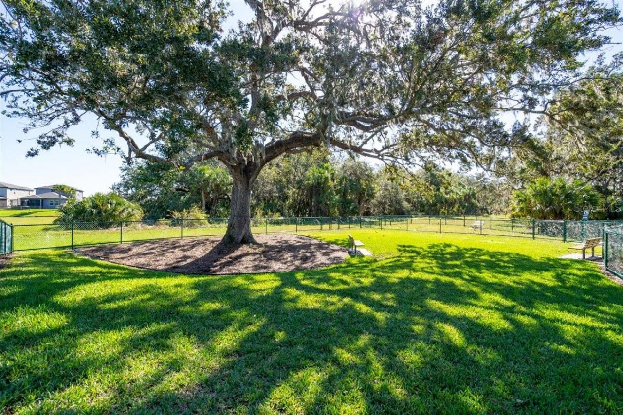 8728 Starry Night Terrace, Parrish, FL 34219 Photo