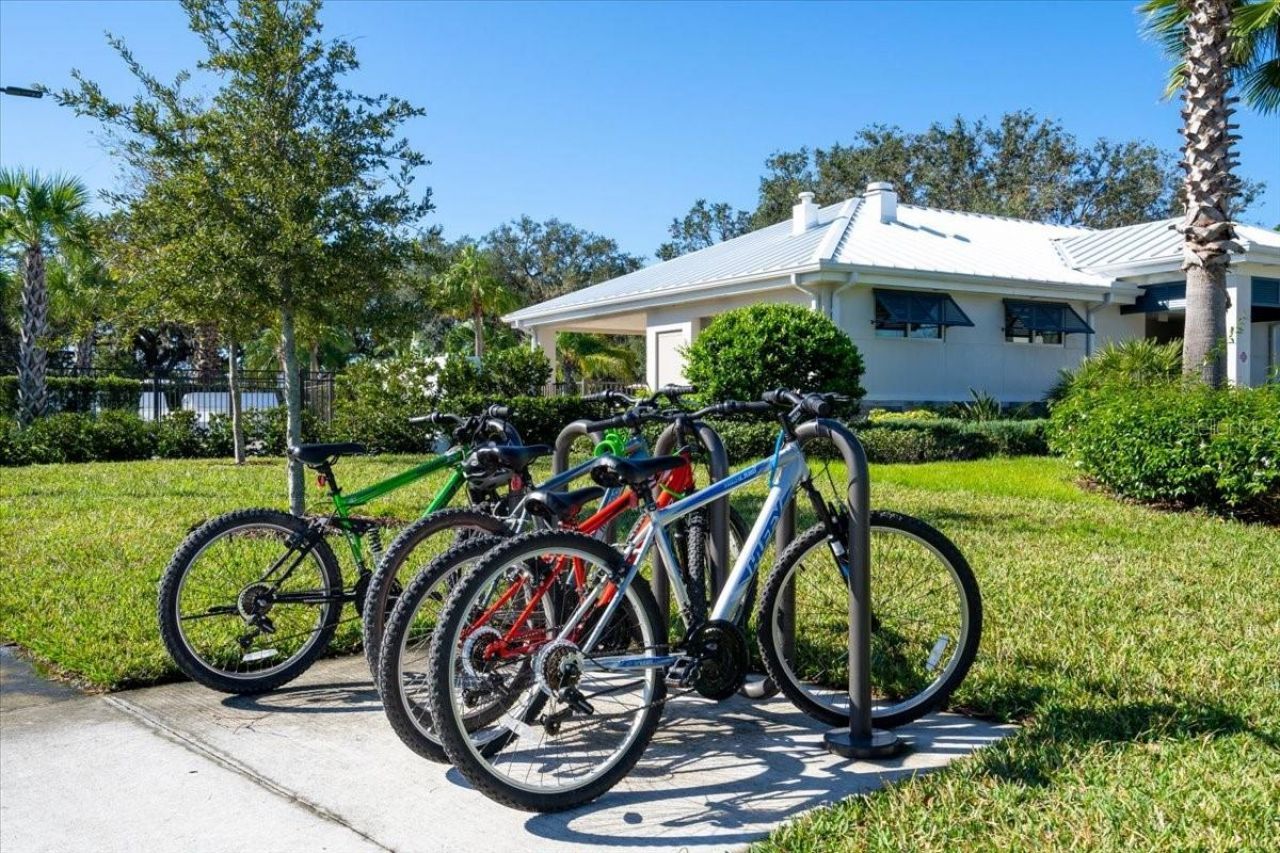 8728 Starry Night Terrace, Parrish, FL 34219 Photo
