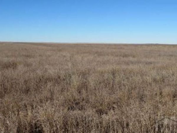 R41 T26 S17 County Rd 35, Holly, CO 81047