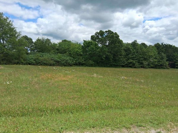 206 MEADOW VIEW DR, Mountain View, AR 72560