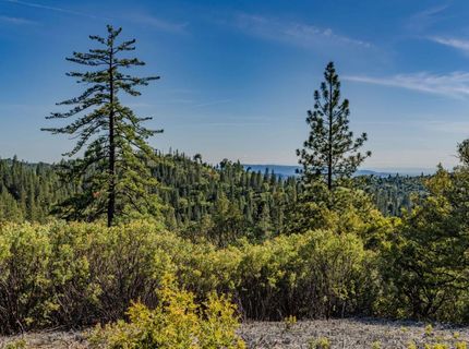 211 Fox Rd, Glencoe, CA 95232 Photo