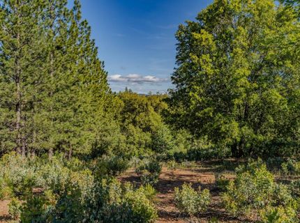 211 Fox Rd, Glencoe, CA 95232 Photo