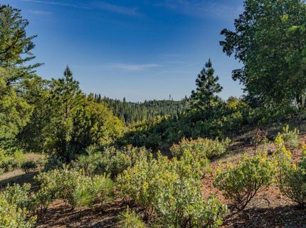 211 Fox Rd, Glencoe, CA 95232 Photo