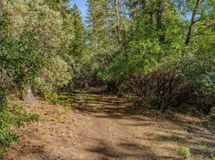 211 Fox Rd, Glencoe, CA 95232 Photo