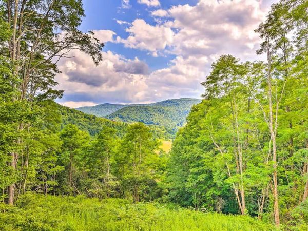 516 Hillside Ln, Slatyfork, WV 26291