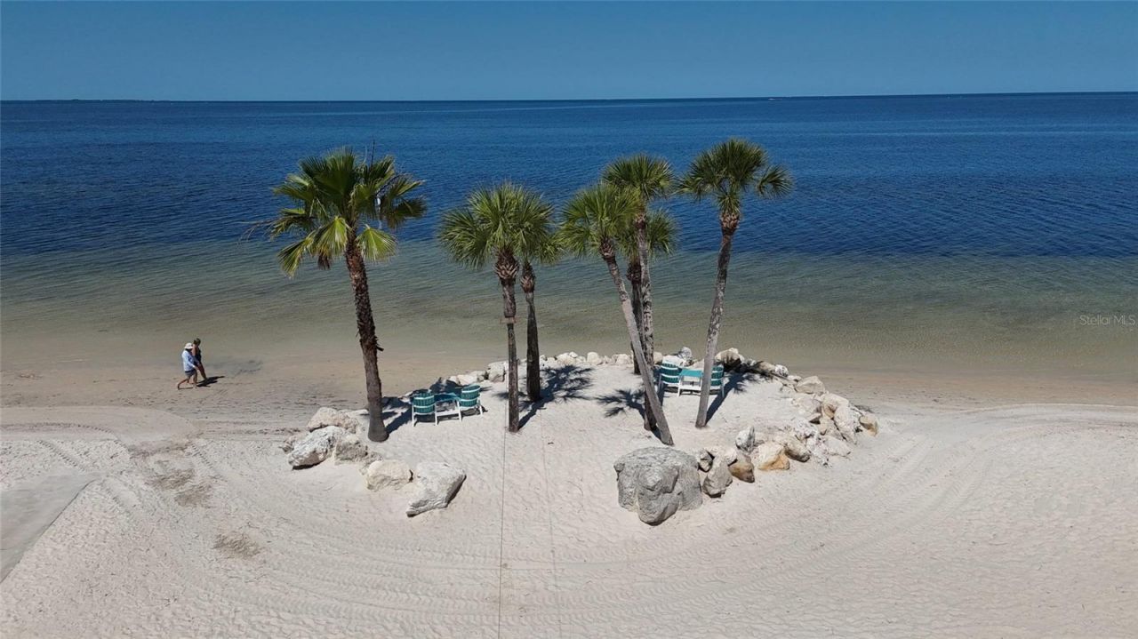 4240 Floramar Terrace, New Port Richey, FL 34652 Photo