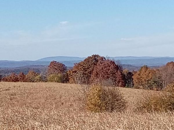 3342 River Rd, Decatur, TN 37322