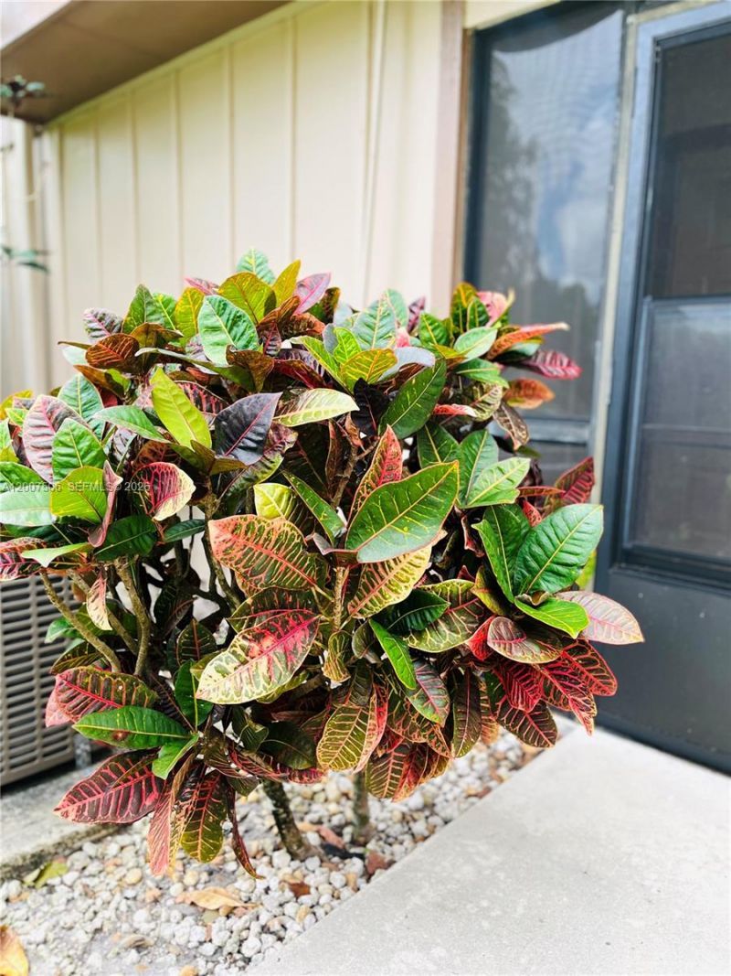 500 Crosswinds Dr, Unit A1, Greenacres, FL 33413 Photo