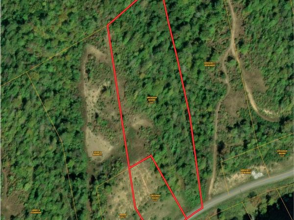 LOTS 101, 102 Marina Landing Rd, Tazewell, TN 37879