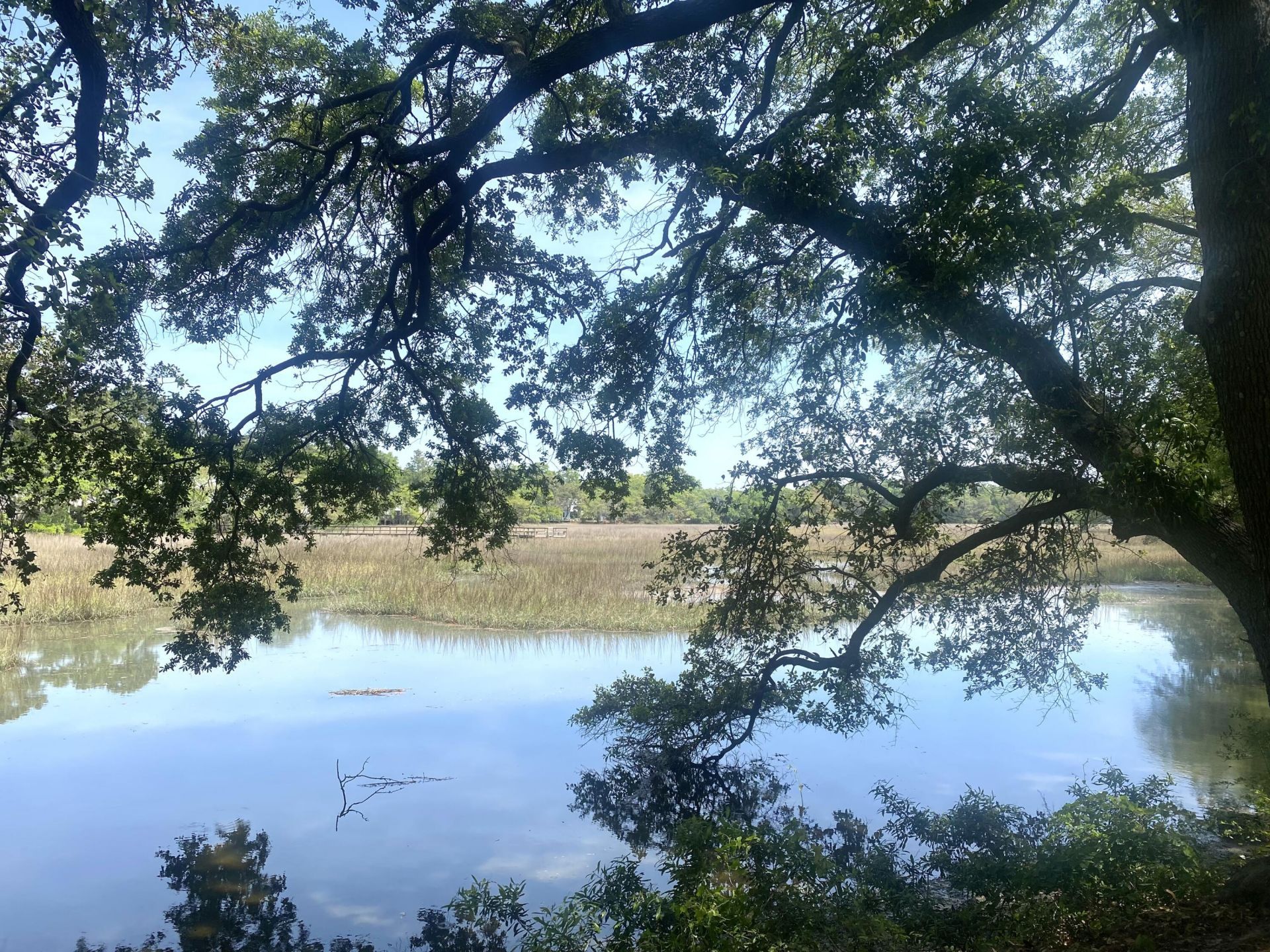 1402 Camp Road Photo 20