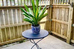 1402 Camp Road photo 4