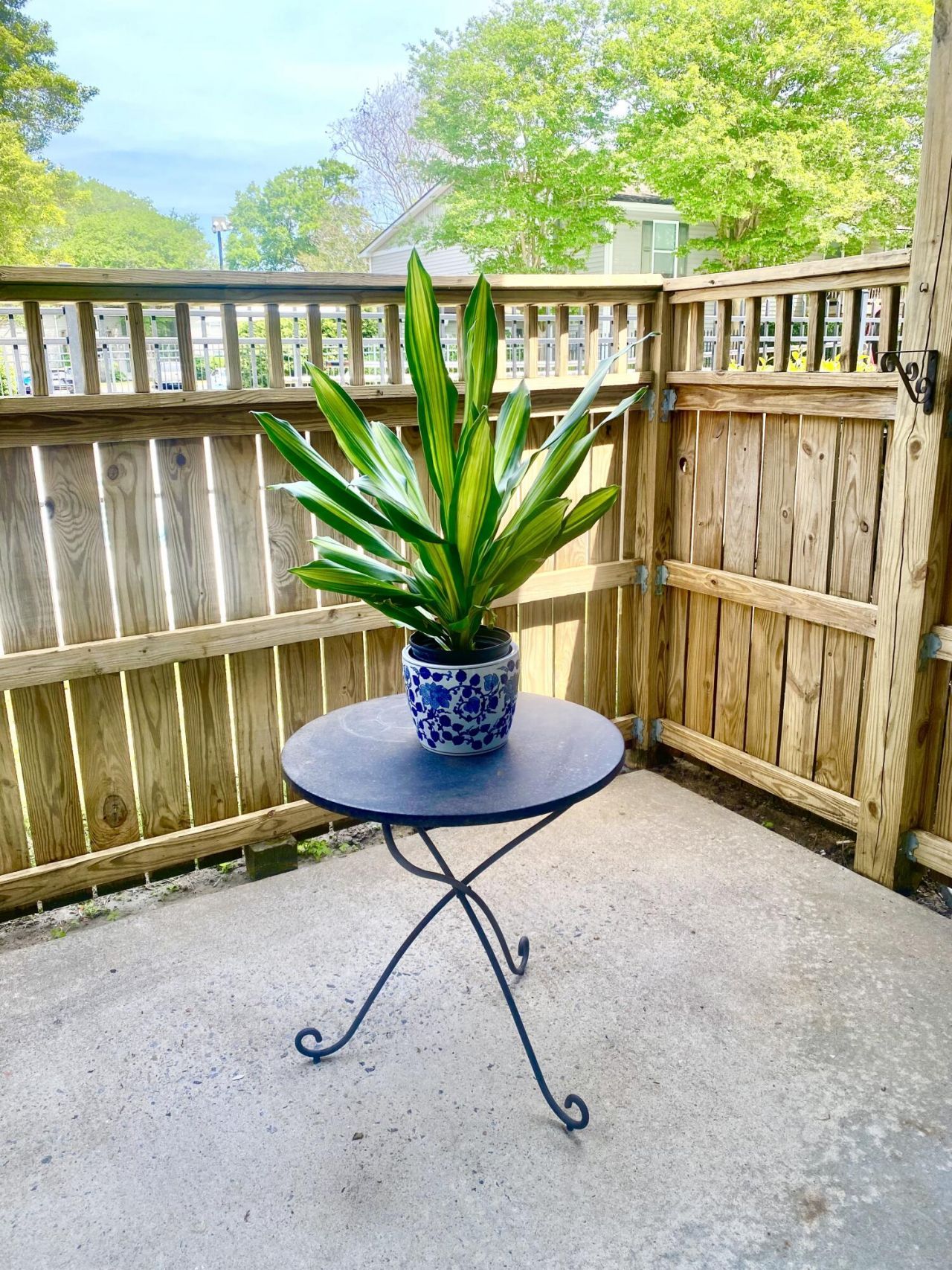 1402 Camp Road Photo 4