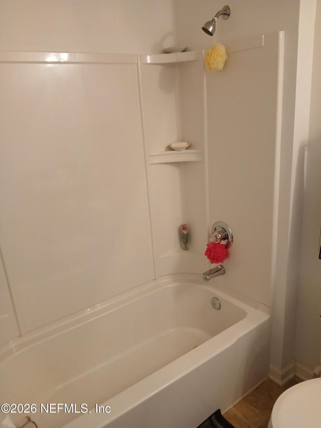6389 Pinewood Hills Drive, Jacksonville, FL 32218 Photo