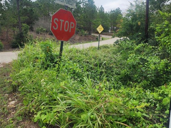 lot 70 Lakeside DR, Bastrop, TX 78602