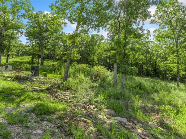 Lot 16 Peaceful Place , Harrison, AR 72601