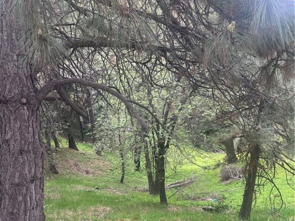0 Jewel, Crestline, CA 92325