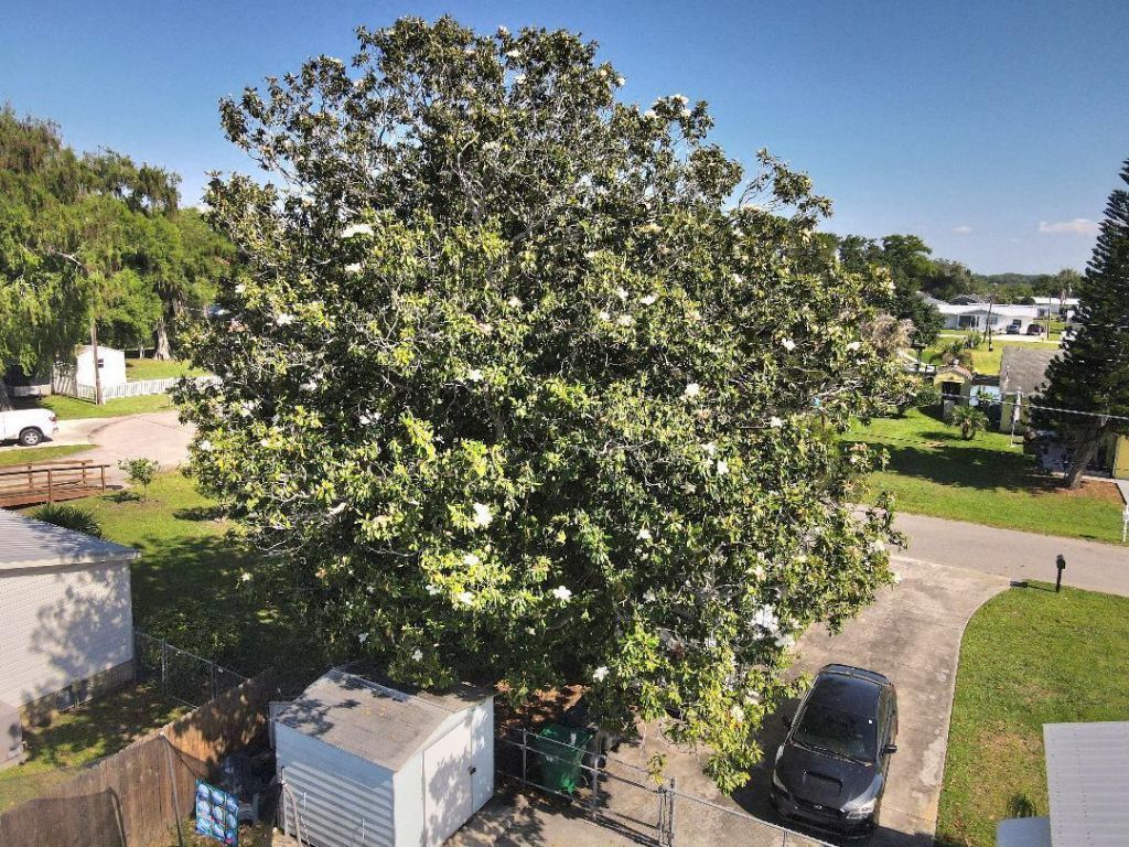 2828 SE 21st Court, Okeechobee, FL 34974 Photo