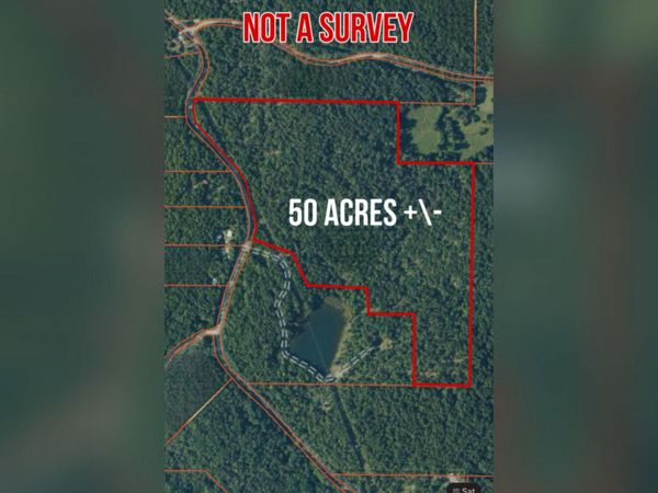 0 Nelsonville, Smithville, AR 72466