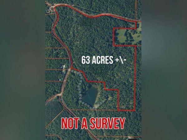 0 Nelsonville, Smithville, AR 72466