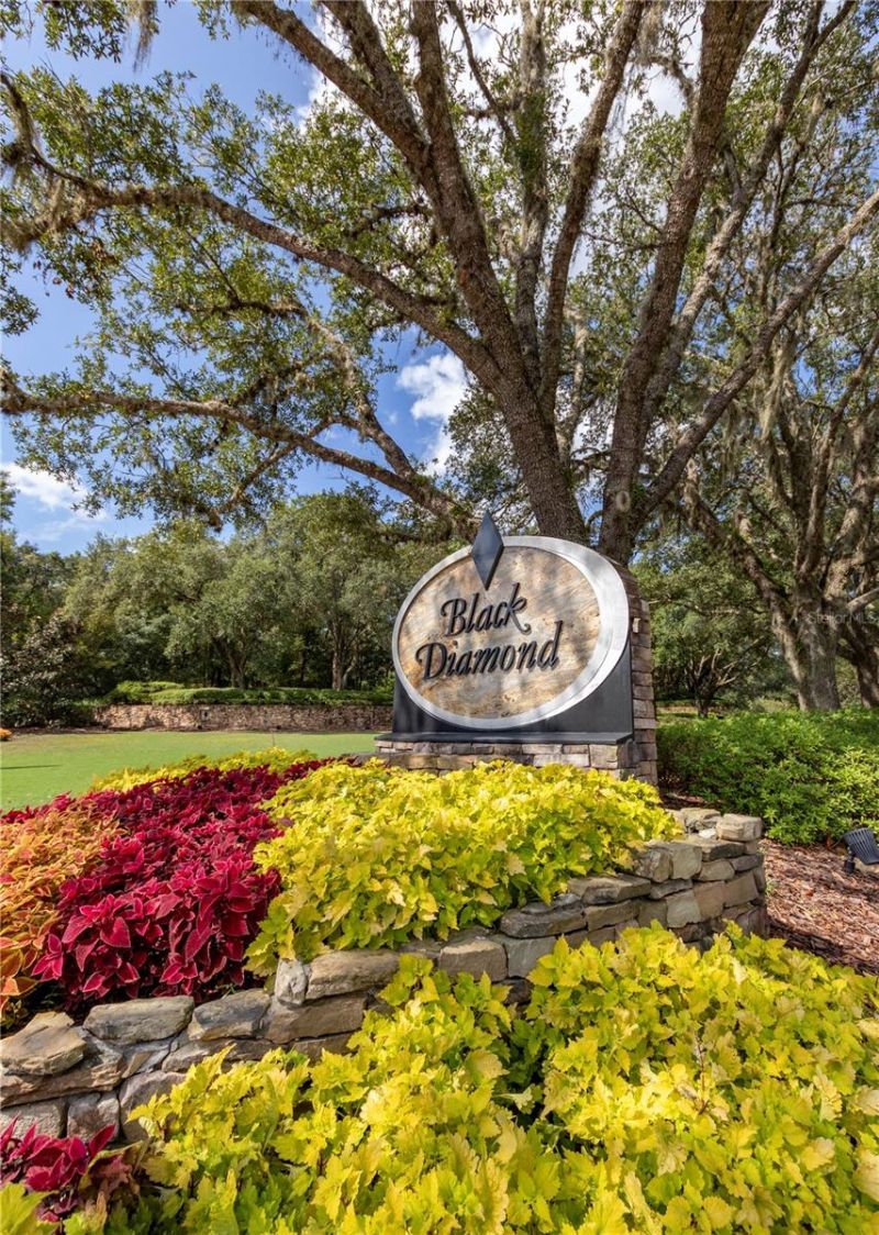 3099 N Barton Creek Circle, Lecanto, FL 34461 Photo