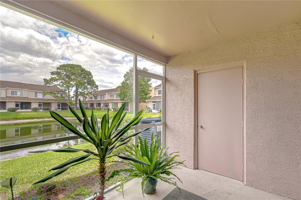 6335 Bayside Key Drive, Tampa, FL 33615 Photo