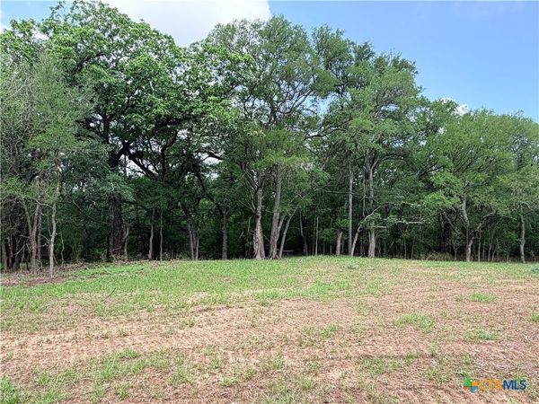 TBD FM 86 , Luling, TX 78648