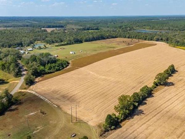 4.91D Acre McPhail Farm Road, Florala, AL 36442