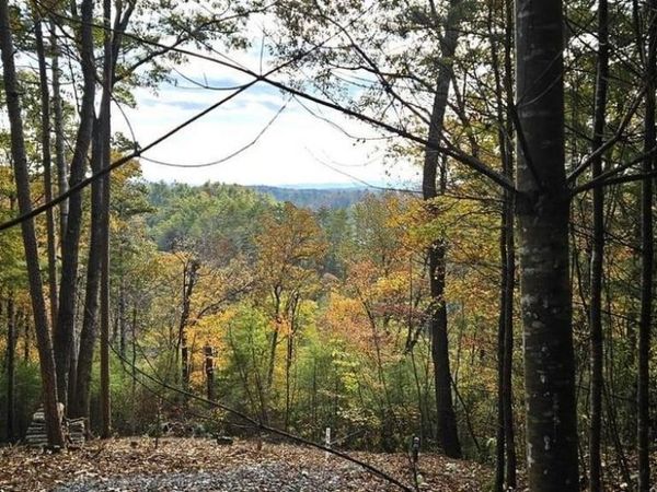 Lot 157 Roaring Forks Lane, Ellijay, GA 30540
