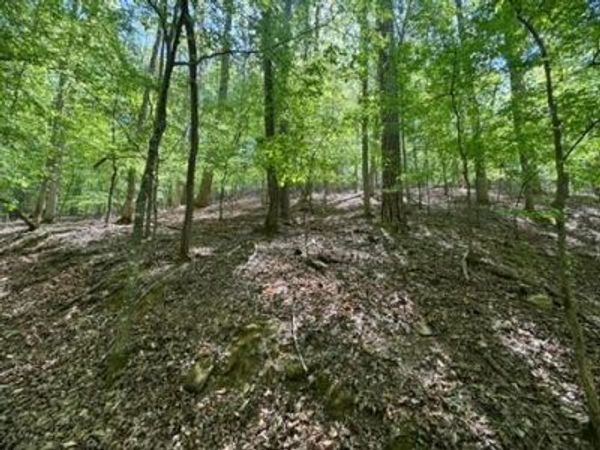 Lot 1972 Nancy Court, Ellijay, GA 30540