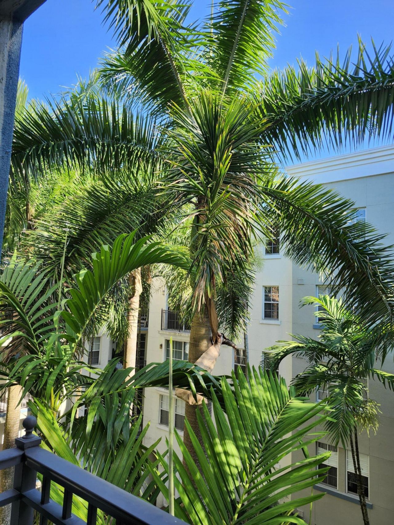 533 NE 3rd Avenue, Unit 421, Fort Lauderdale, FL 33301 Photo