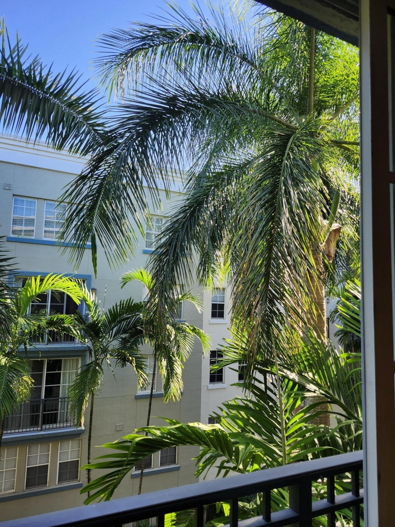533 NE 3rd Avenue, Unit 421, Fort Lauderdale, FL 33301 Photo