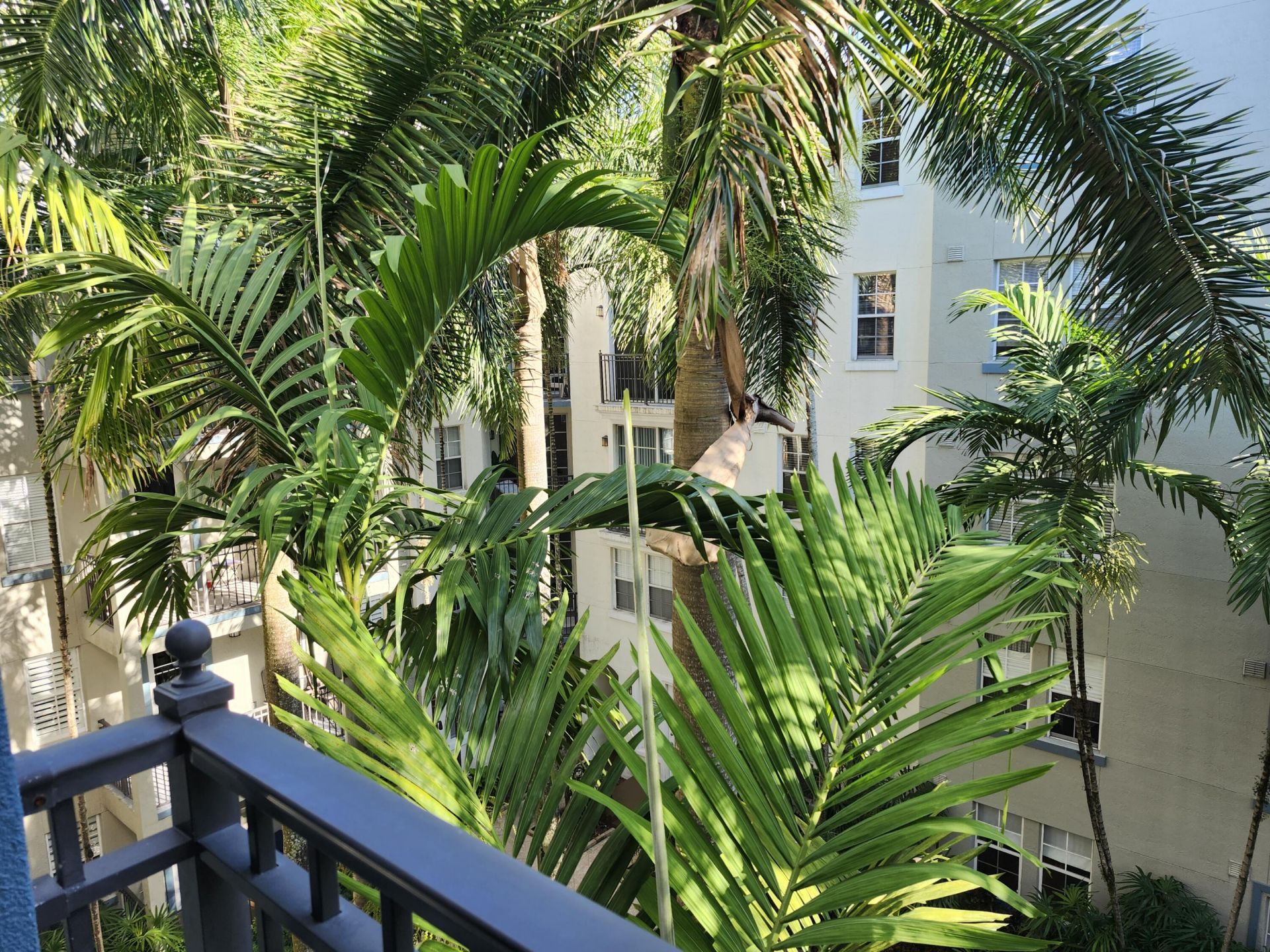 533 NE 3rd Avenue, Unit 421, Fort Lauderdale, FL 33301 Photo