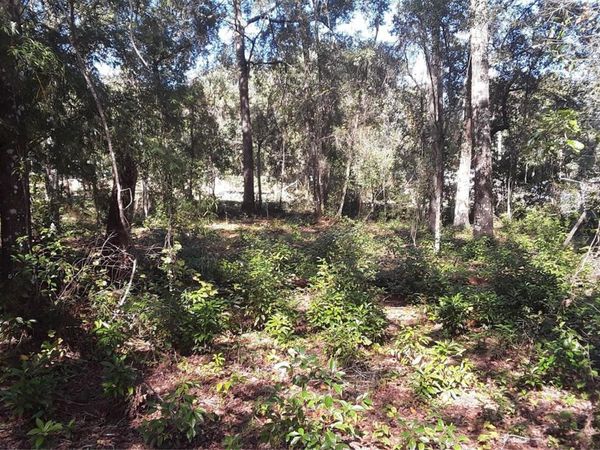 6887 W DUMAINE LANE , DUNNELLON, FL 34433