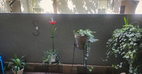 5207 Laguna Oaks Dr #27, Unit 27, Elk Grove, CA 95758 Photo