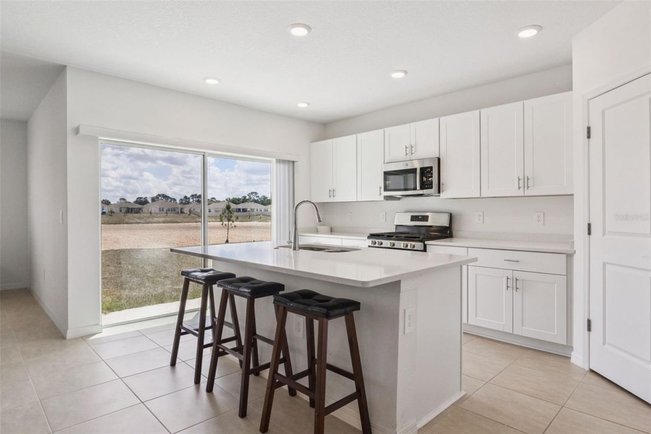 33857 Sky Blossom Circle , Leesburg, FL 34788 Photo