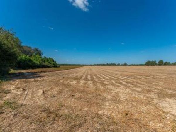 37.4 Acres McPhail Farm Road, Florala, AL 36442