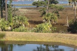 523 Spring Hollow Drive photo 4