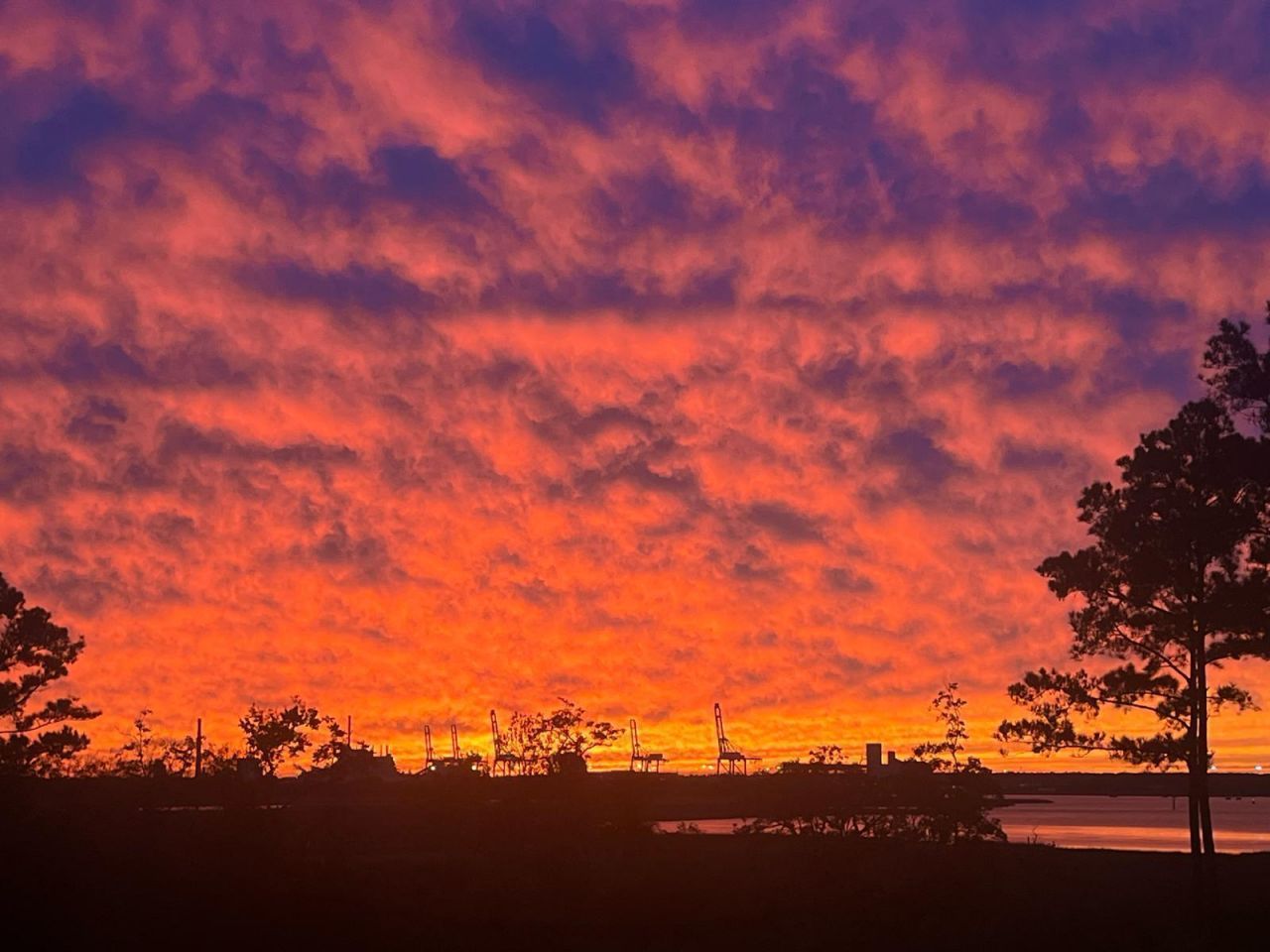 523 Spring Hollow Drive Photo 5