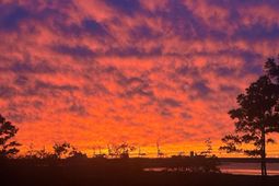 523 Spring Hollow Drive photo 4