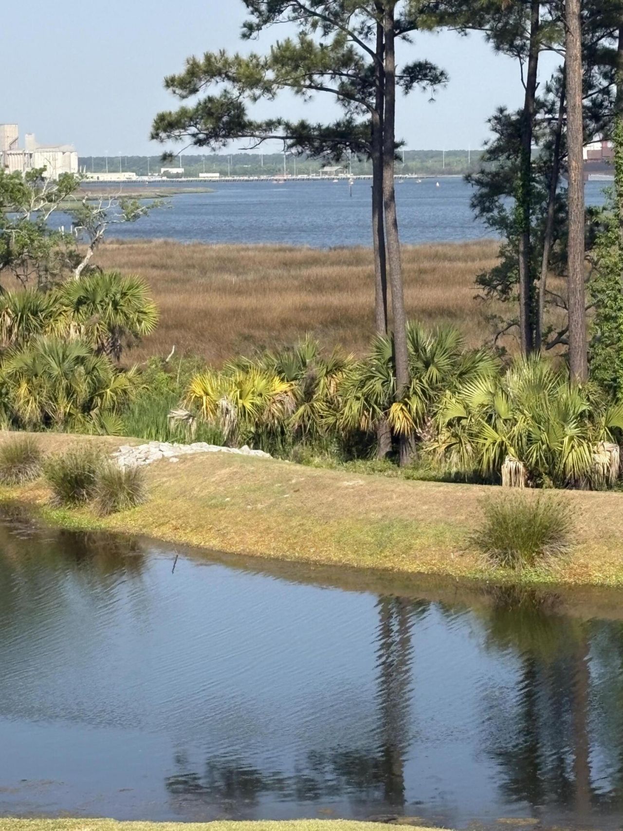 523 Spring Hollow Drive Photo 53