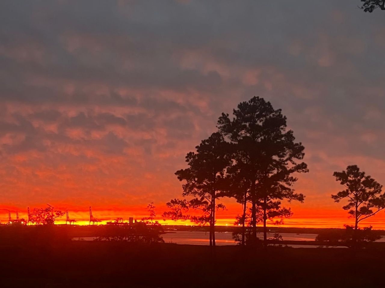 523 Spring Hollow Drive Photo 54