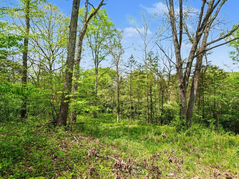 00 Alexandria Pike, Alexandria, KY 41001 Photo 11