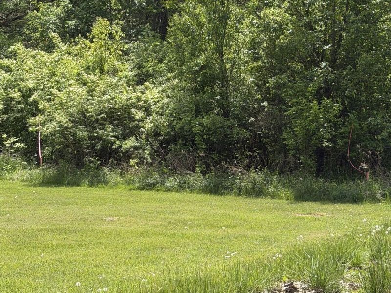 00 Alexandria Pike, Alexandria, KY 41001 Photo 4