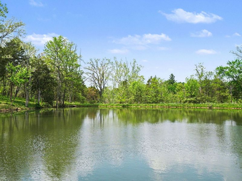 00 Alexandria Pike, Alexandria, KY 41001 Photo 5