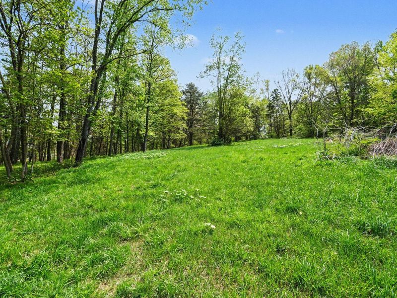 00 Alexandria Pike, Alexandria, KY 41001 Photo 7