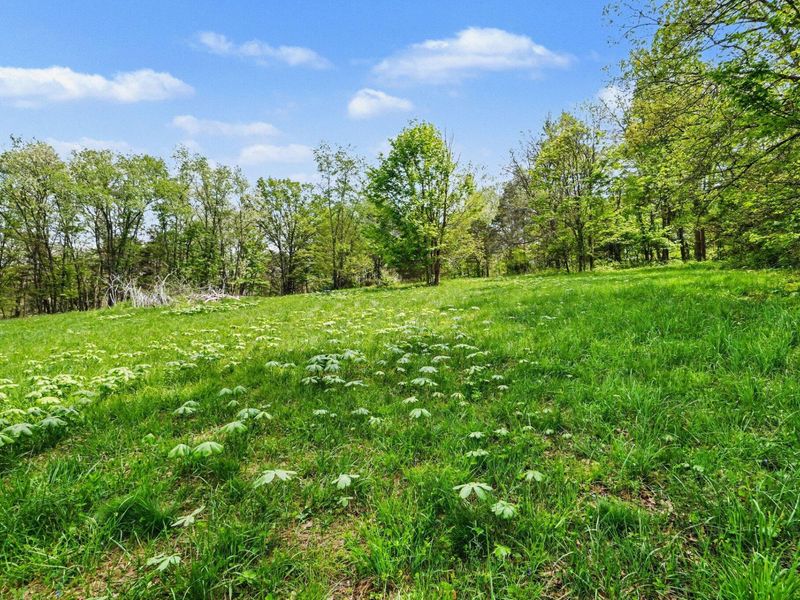 00 Alexandria Pike, Alexandria, KY 41001 Photo 8