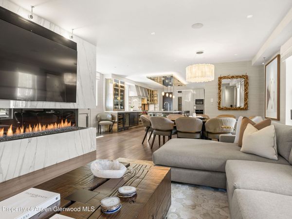 101 E Hallam Street, Aspen, CO 81611